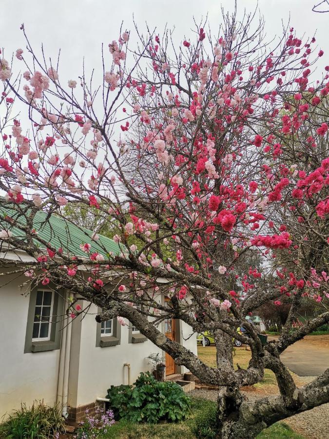 Sani Window B&B And Self Catering Underberg Exterior photo
